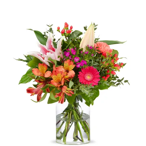 Rosen – Die Königin der Blumen und ihre zeitlose Bedeutung
